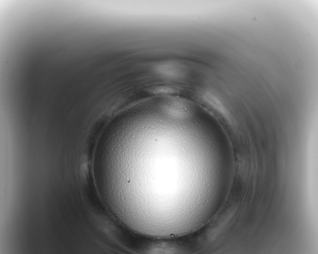 X0000089460549200706221307
