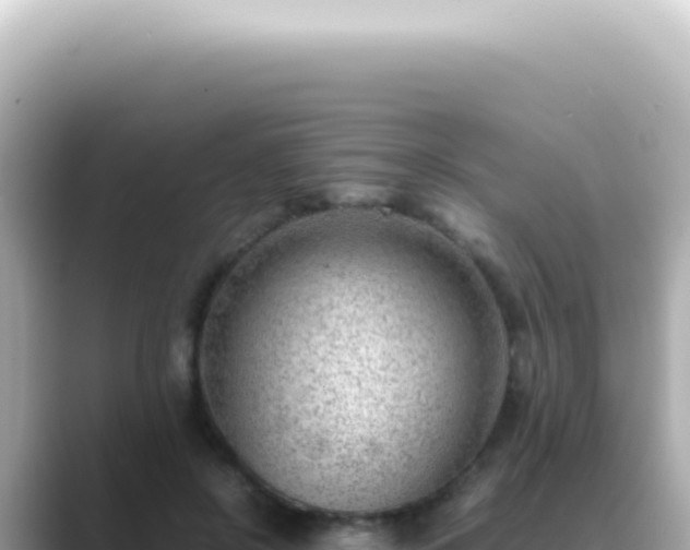X0000089460550200706221307