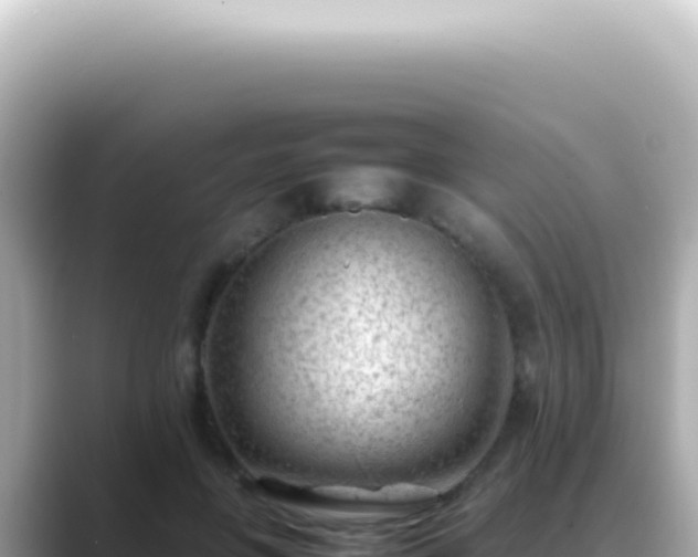 X0000089460551200706221307