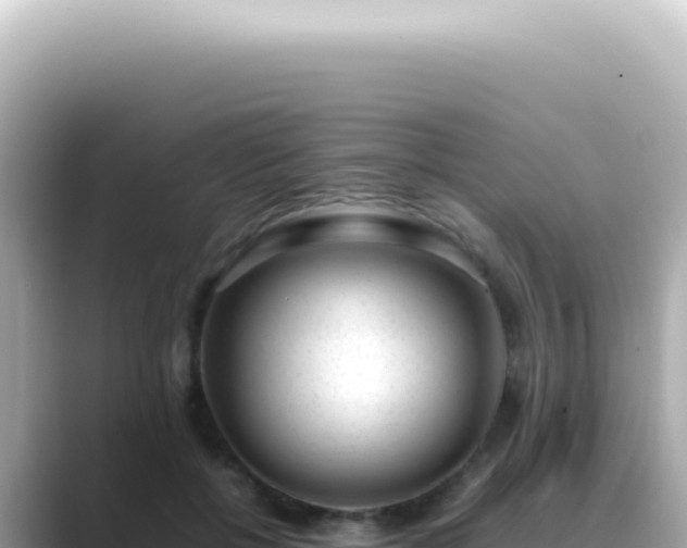 X0000089460552200706221307