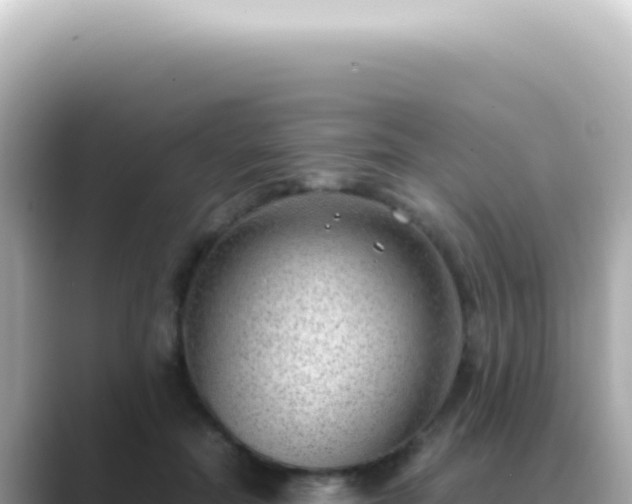 X0000089460554200706221307