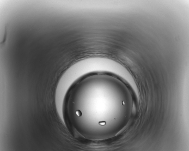 X0000089460556200706221307
