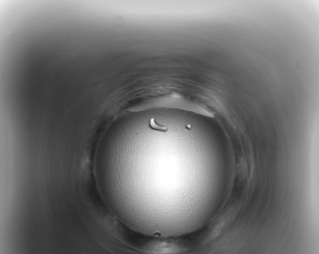 X0000089460557200706221307