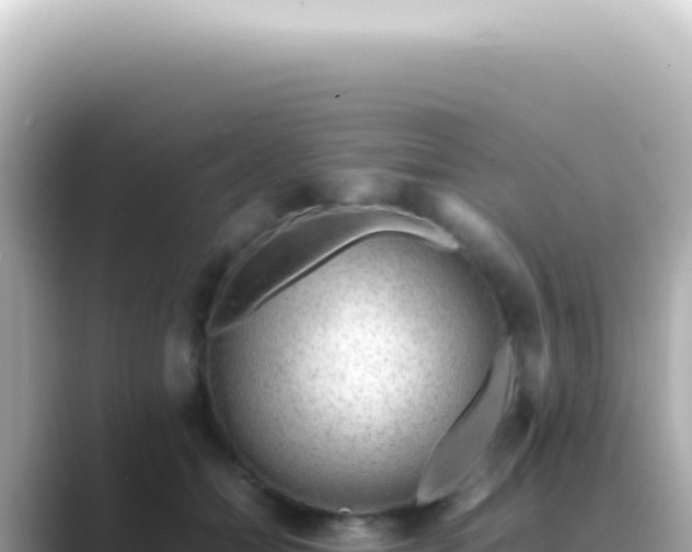 X0000089460558200706221307