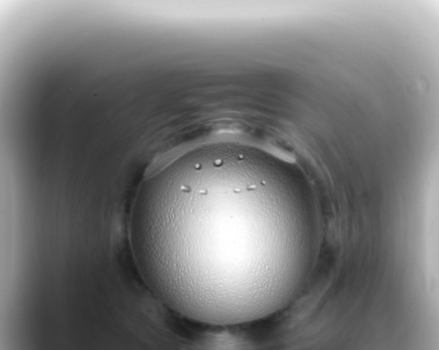X0000089460561200706221307