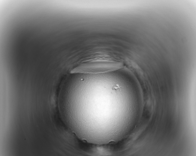 X0000089460565200706221307