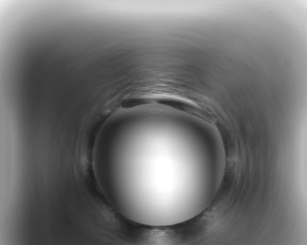 X0000089460566200706221307