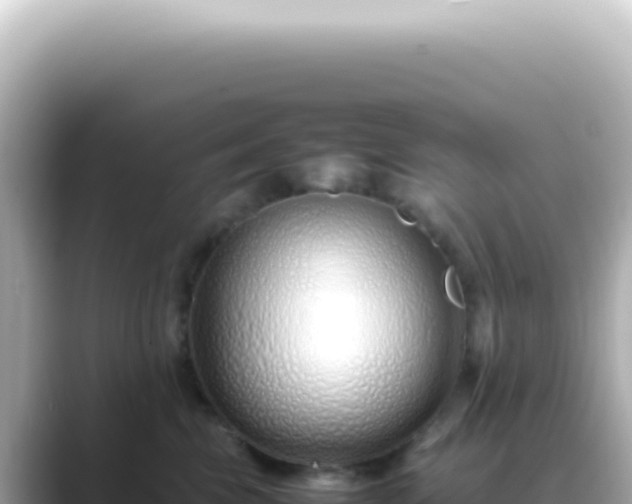 X0000089460569200706221307