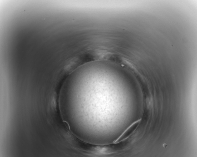 X0000089460570200706221307
