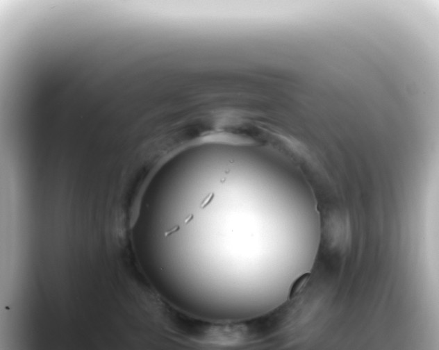 X0000089460571200706221307