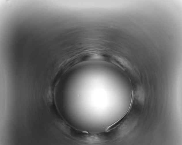 X0000089460572200706221307