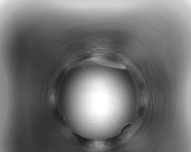 X0000089460573200706221307