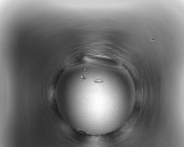 X0000089460574200706221307