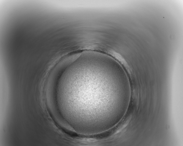 X0000089460577200706221307