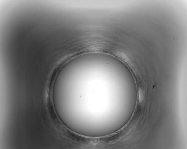 X0000089460579200706221307