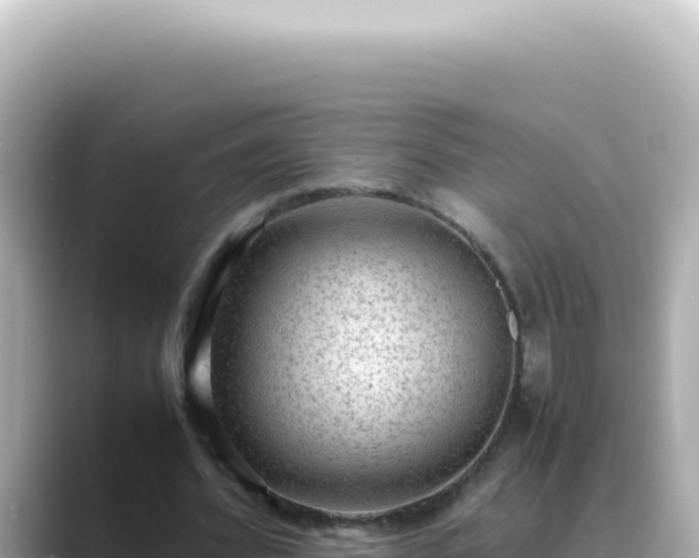 X0000089460580200706221307