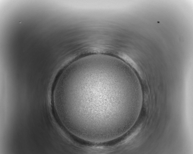 X0000089460581200706221307