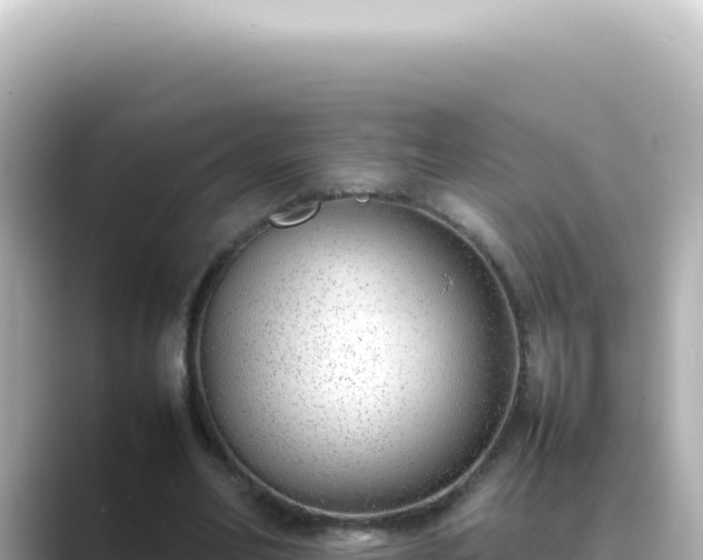 X0000089460582200706221307