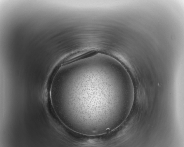 X0000089460584200706221307