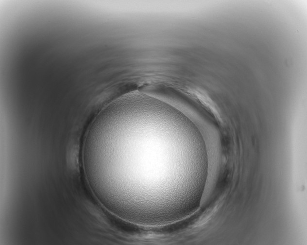 X0000089460585200706221307