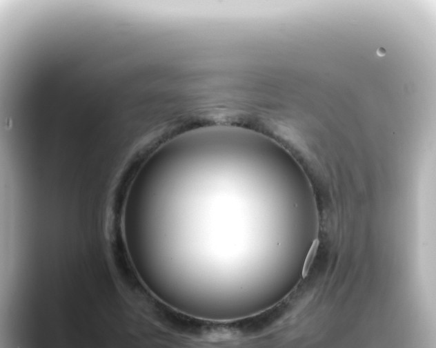 X0000089460587200706221306