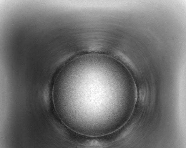 X0000089460588200706221306