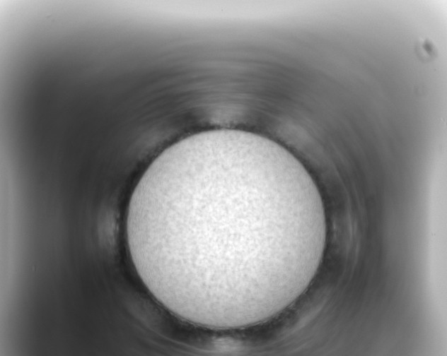 X0000089460592200706221306