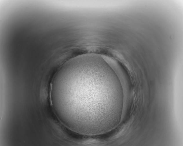 X0000089460593200706221306