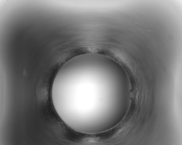 X0000089460595200706221306