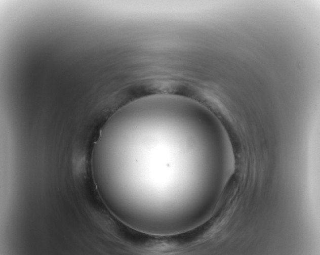 X0000089460597200706221306