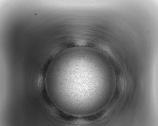 X0000089460598200706221306