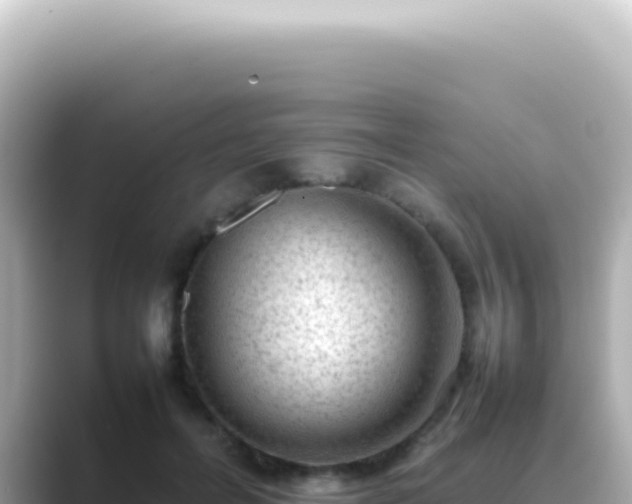 X0000089460600200706221306