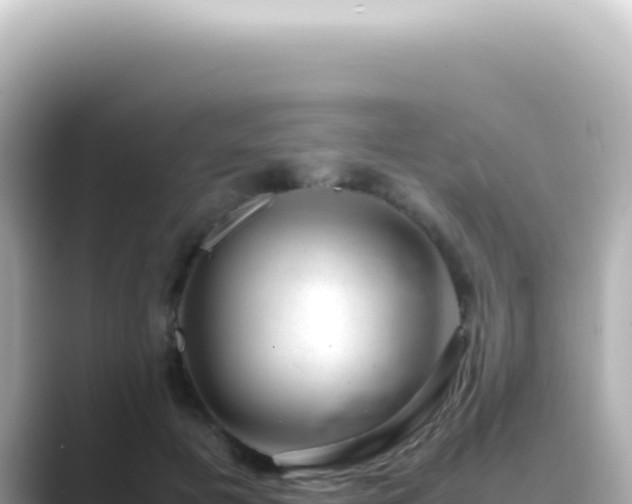 X0000089460601200706221306