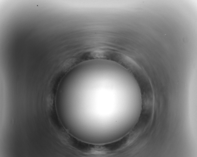 X0000089460603200706221306