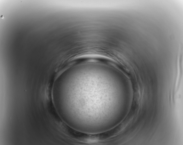 X0000089460604200706221306