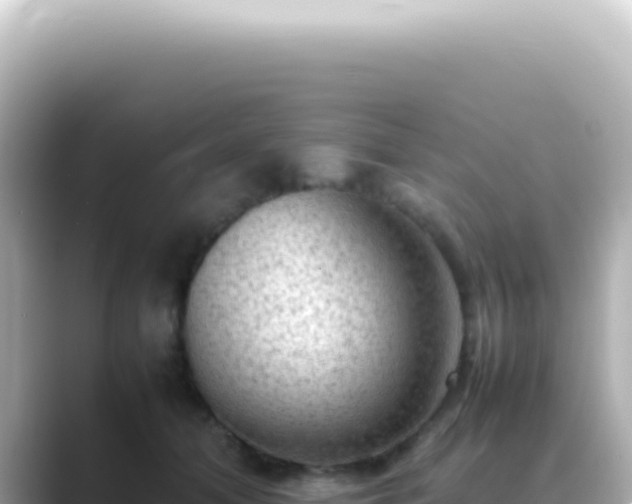 X0000089460608200706221306