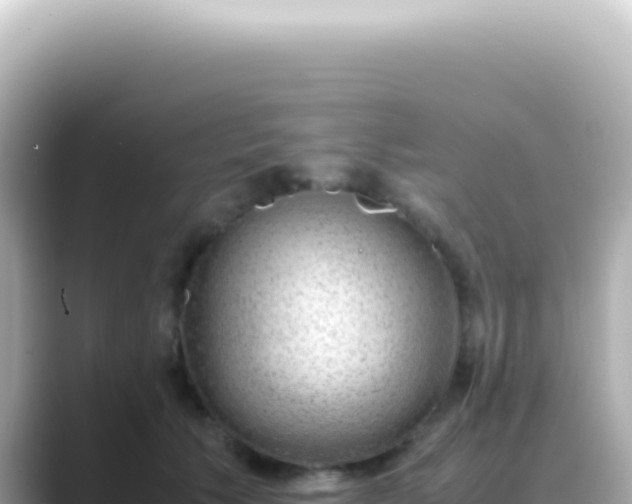 X0000089460609200706221306