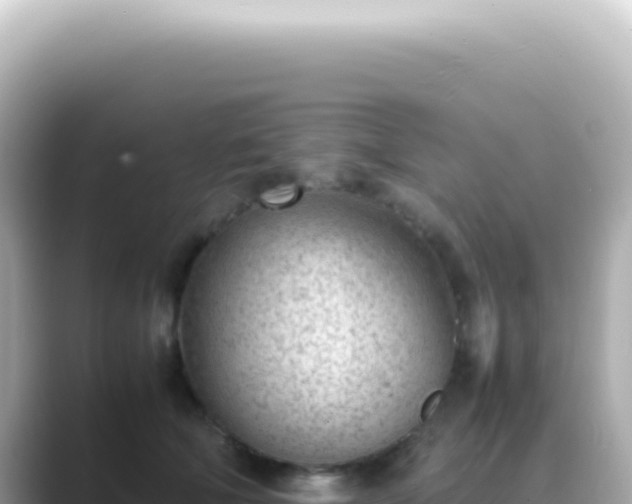 X0000089460610200706221306