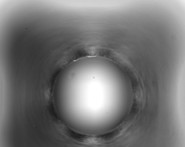 X0000089460611200706221306