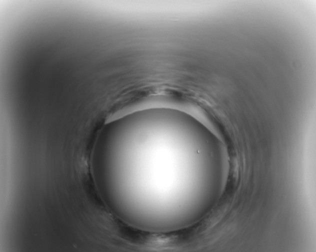 X0000089460613200706221306