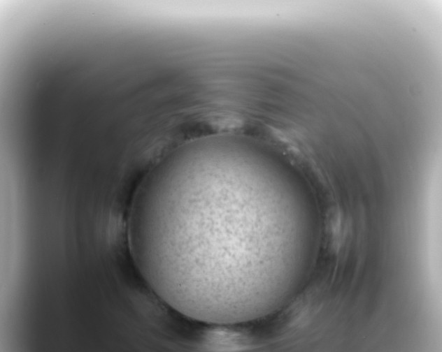 X0000089460614200706221306