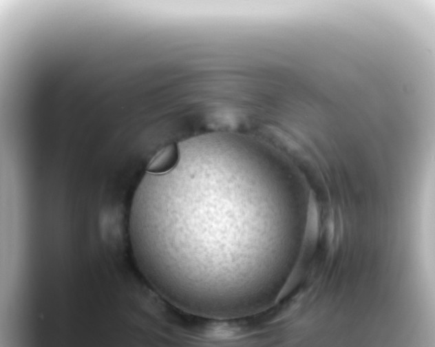 X0000089460616200706221306