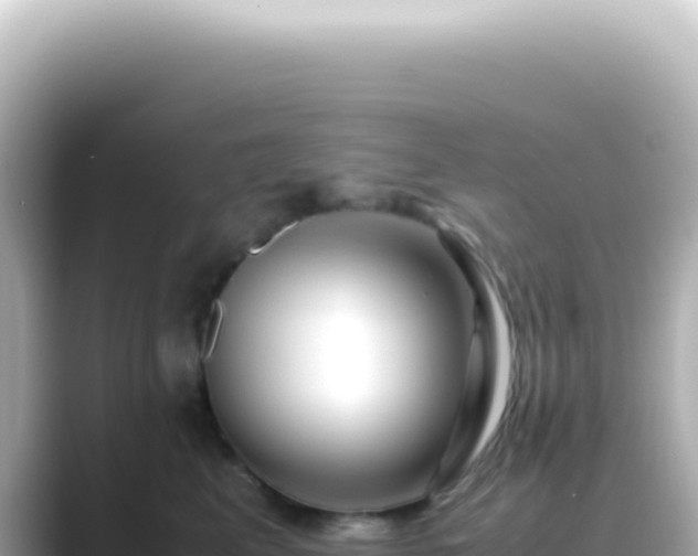 X0000089460617200706221306