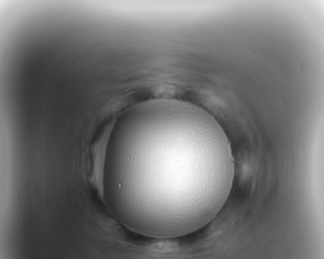 X0000089460619200706221306