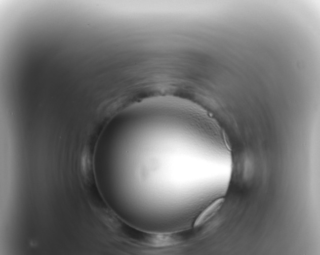 X0000089460623200706221306