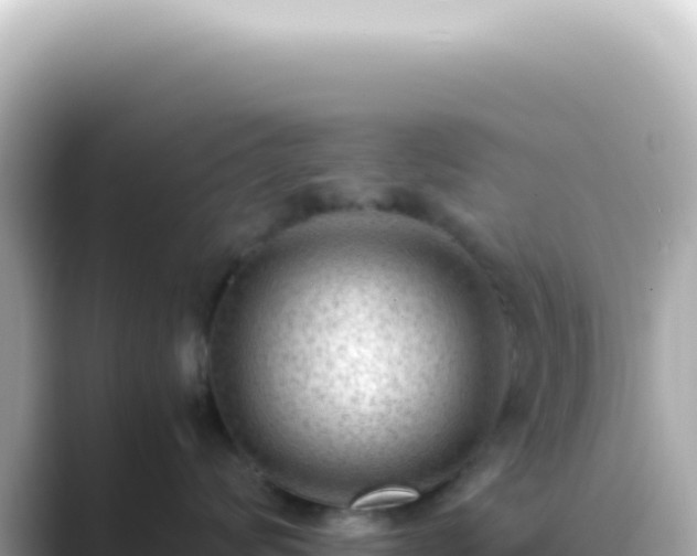 X0000089460624200706221306