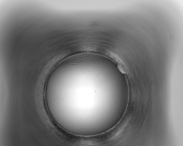 X0000089460625200706221306