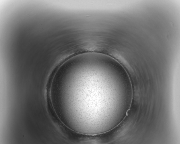 X0000089460626200706221306