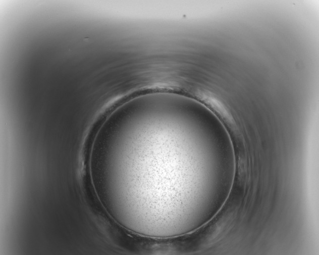X0000089460628200706221306