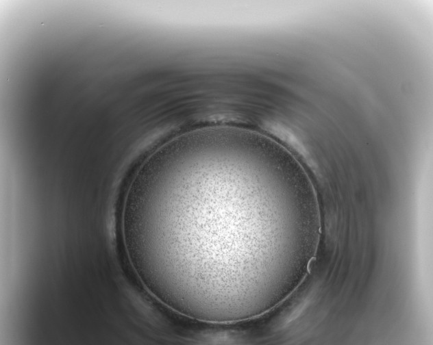 X0000089460629200706221306